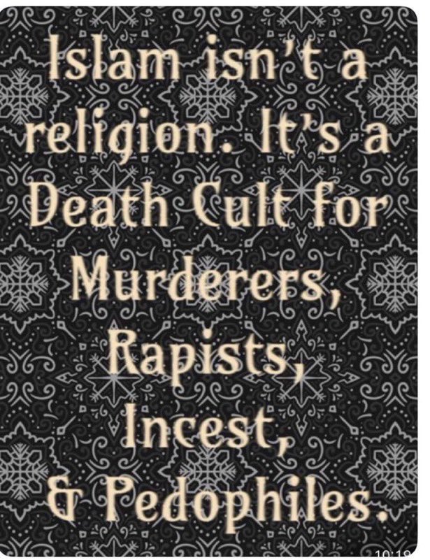 Neccccy's tweet image. Agree?
Yes or No?