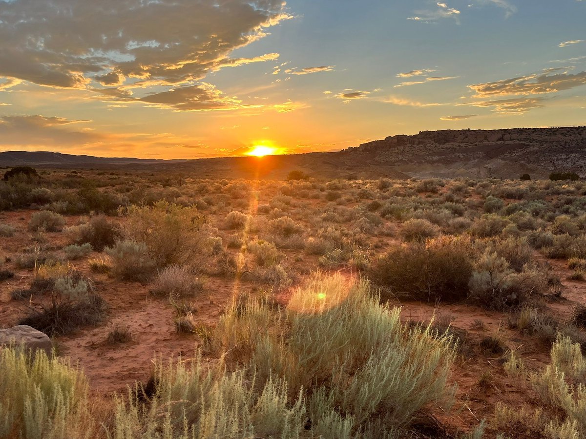 DCSCInc's tweet image. 🌅 #ThursdayThought &quot;Gratitude makes sense of our past, brings peace for today, and creates a vision for tomorrow.&quot; Melody Beattie