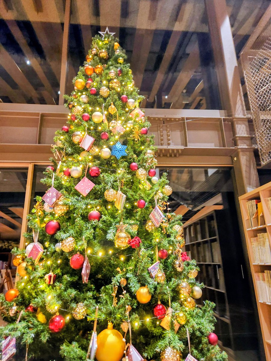 ensembleFlowEF's tweet image. 今日はツリーも素敵な田園調布せせらぎ館で定演に向け練習✨🎄✨ここから3週連続追い込み練🔥スペインだ佐賀だと忙しくてかまってくれなかった #相澤直人 先生と、やっと飲みに行けました😂熱燗をしっぽりと🍶💕前回は寂しくて、みんなビール+メガハイボール３杯くらいしか飲めませんでしたからー🥺💔