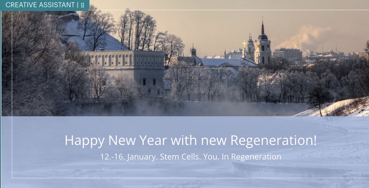 The first stem cell therapy week of the new year takes place from January 12–16, 2026 at our clinic in Kaunas, Lithuania.
Registration deadline: December 10, 2025