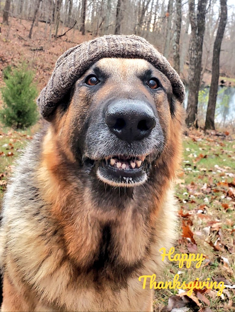 Happy Thanksgiving! 

Today we are simply grateful to wake to another day. We will take it as it comes and smile at each dawn we are granted.

We hope you all enjoy the day whatever you are doing.