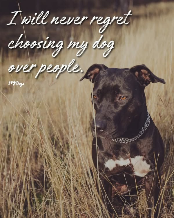 Russ234561's tweet image. 