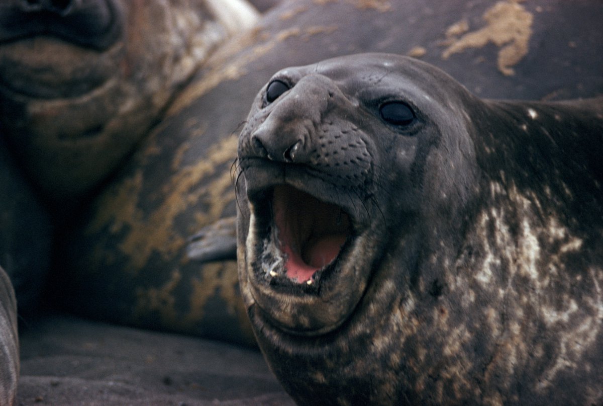 Bu fotoğraf için bir başlığa ihtiyacımız var. #CaptionThis