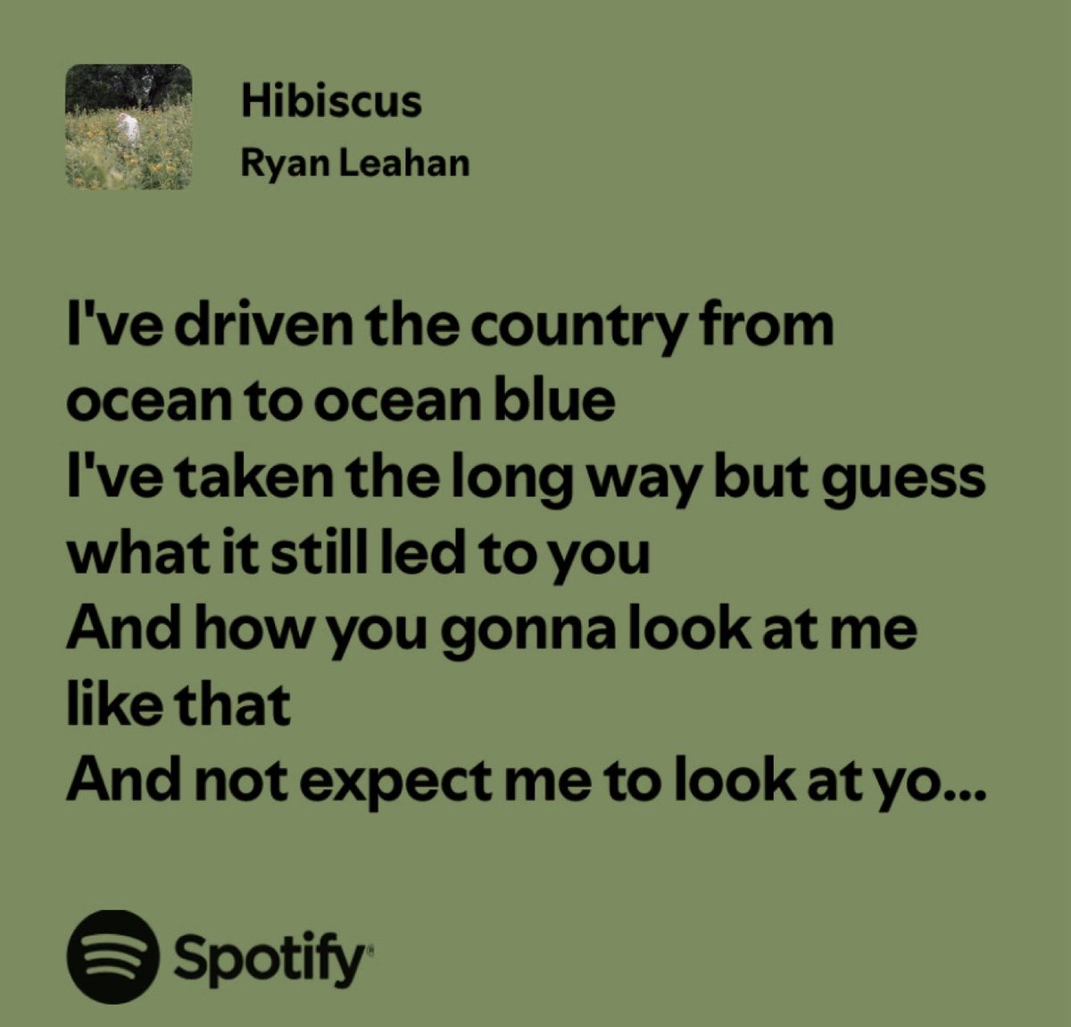 I feel your warmth like sunlight on my skin. Hibiscus mood, black outfit, golden glow tell me this doesn’t look like the start of a story.