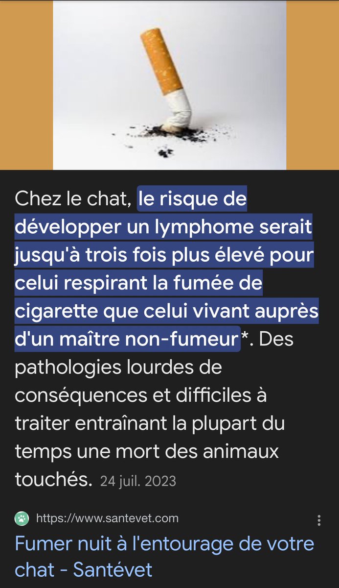 princesalamwane's tweet image. « tolère le mieux la fumée »