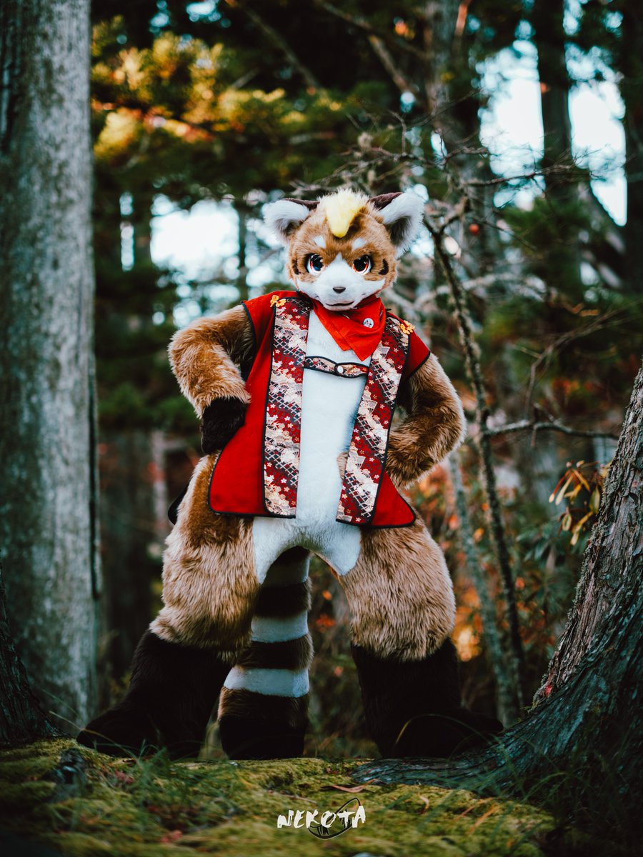 ネコタ@NEKOTA➡WFF (@hinekota) / Posts / X