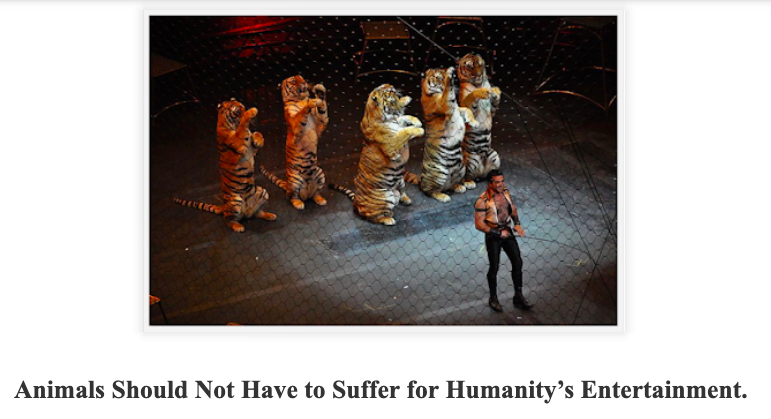 WMASLAM63323693's tweet image. Leave those animals alone! wmaslam.blogspot.com/2023/08/animal… #Blogs #AnimalCruelty #animals