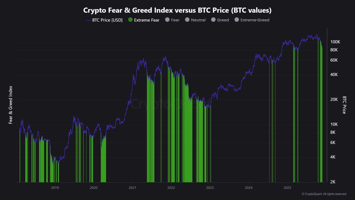 Aşırı Korku: Fırsat mı, Tuzak mı?

KRİTİK EŞİK!  Piyasa "Aşırı Korku"ya teslim olmuş durumda.

Son boğa koşusunda bu seviyeler kaçırılmaz alım fırsatlarıydı.

2021/2022 tecrübesi bize acı bir ders verdi: Korku, piyasaya sandığımızdan çok daha uzun süre yapışabilir. Hemen "dip"