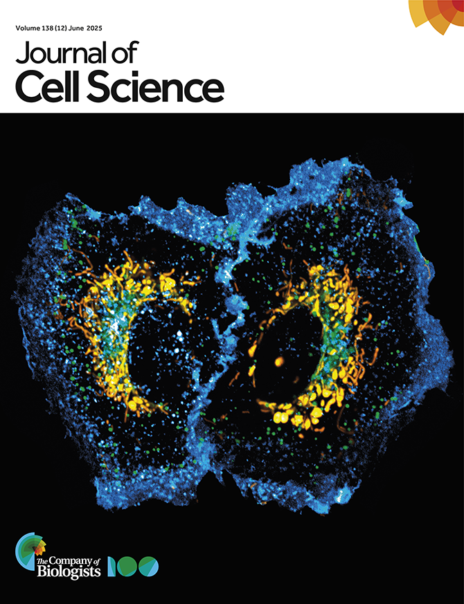 J_Cell_Sci's tweet image. Why choose JCS?
- FREE to publish (OA options available)
- Fast-track option for papers with reports
- Preprint friendly, format-free submission + scoop protection
- Published by a not-for-profit publisher
- A tree planted for every peer-reviewed article🌳
journals.biologists.com/jcs/pages/reas…