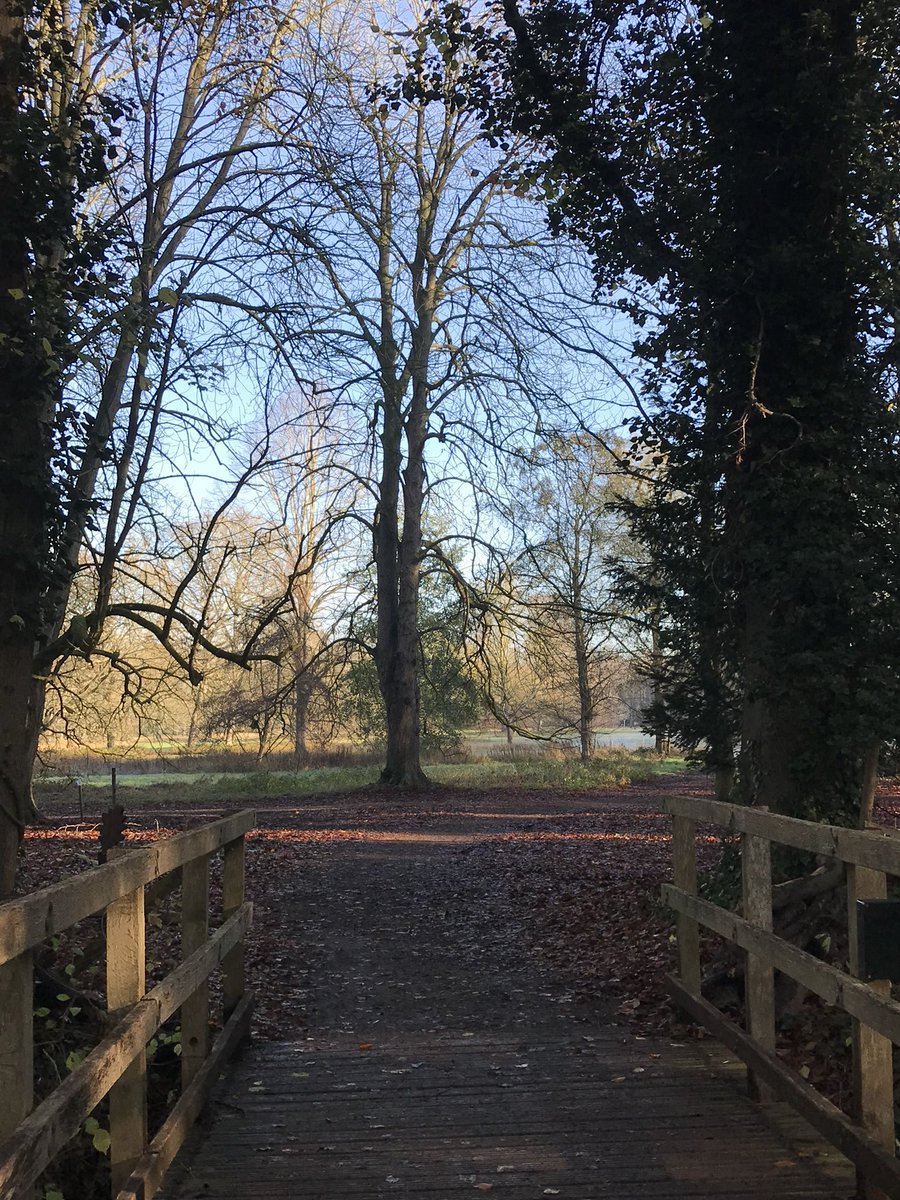 Mum took some other photos of <a href="/AngleseyAbbeyNT/">Anglesey Abbey</a> yesterday, it really was a beautiful day for a walk and a snowman hunt. 😻💜
#Hedgewatch