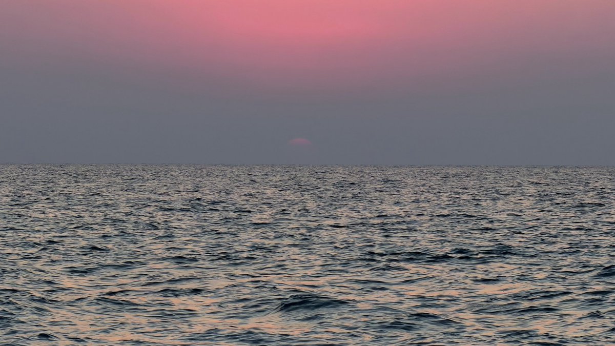 TheyCallme26's tweet image. 