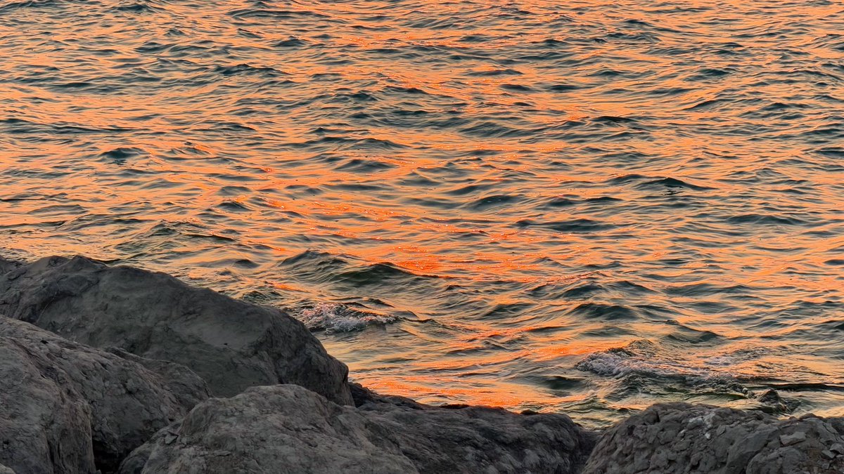 TheyCallme26's tweet image. 