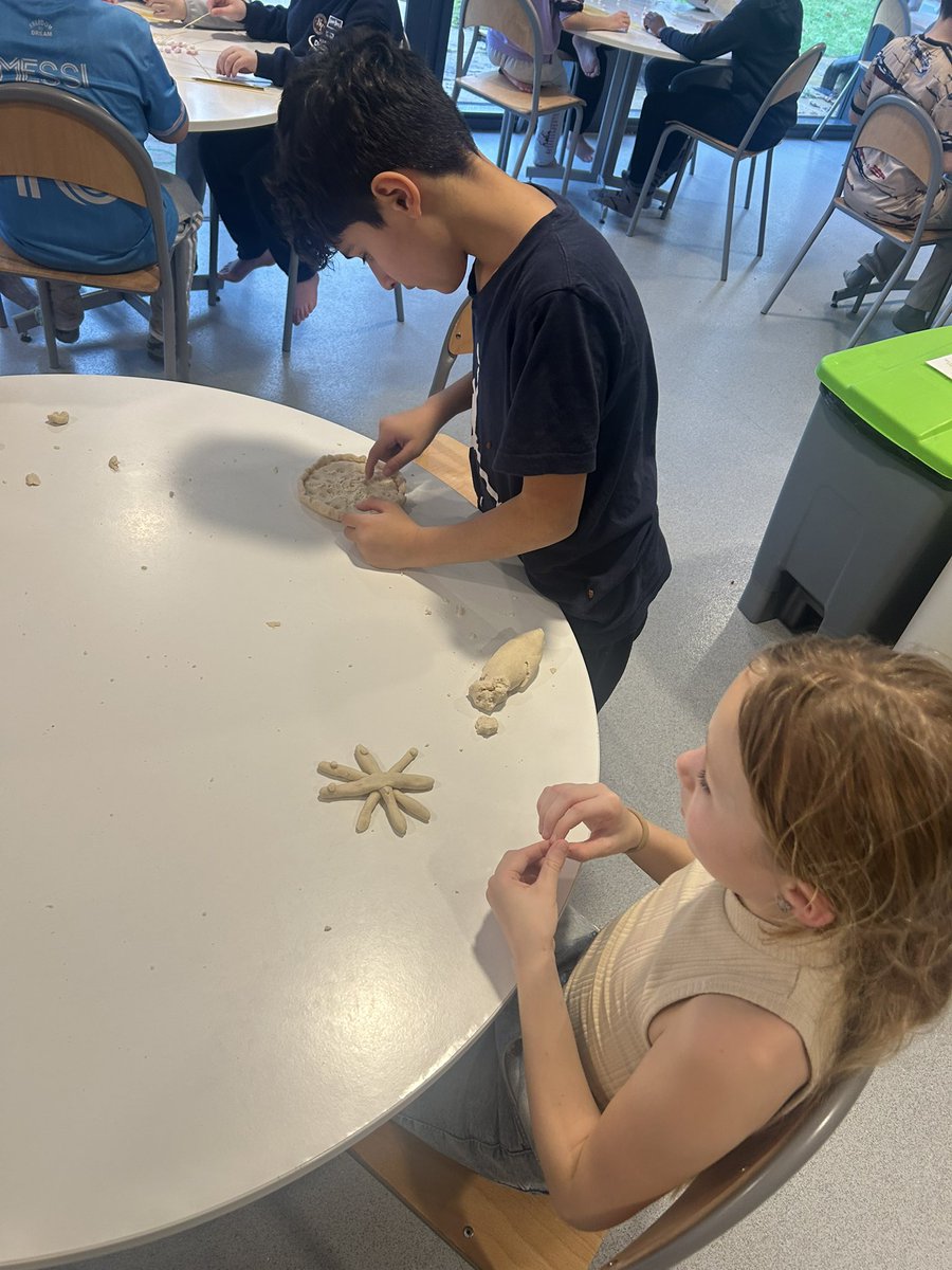 Delta Mersey Year 6 tweet media