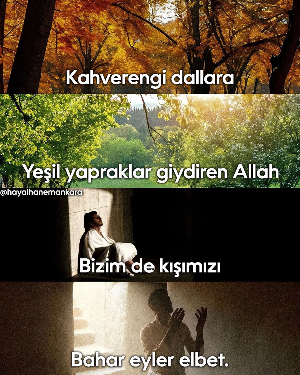 Hayalhanem Ankara (@hayalhanemank) on Twitter photo 