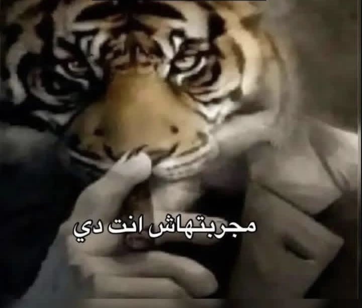 المِنَّة (@men4na) on Twitter photo 