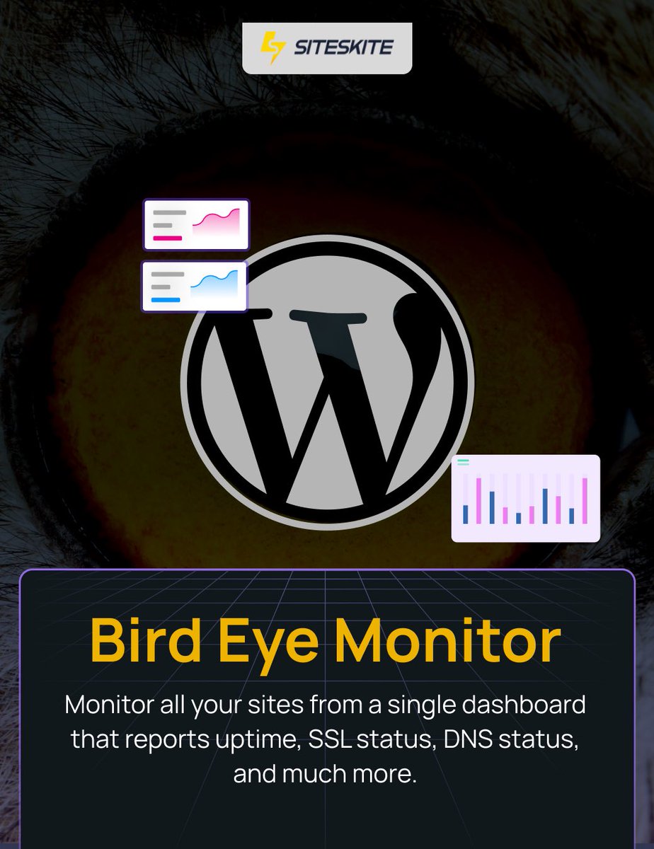 RocketHub's tweet image. Your entire WordPress universe at a glance 👀
Track uptime, DNS, SSL, and performance from one powerful dashboard.

Monitor smarter and stay ahead of issues! ⚡️

#webmonitoring #wordpress #wordpresstips #siteskite #rockethub