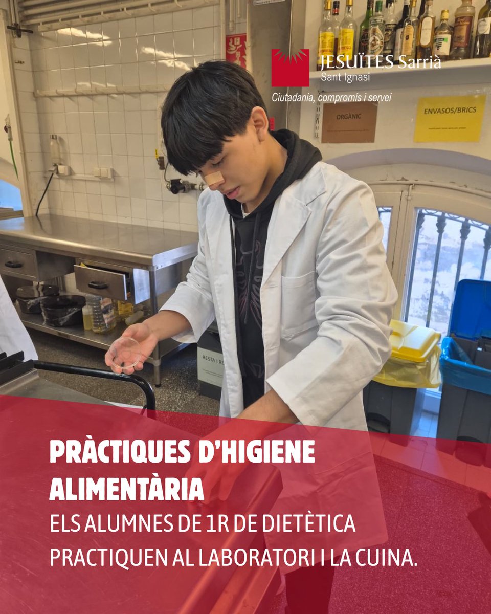 jesuitesFP's tweet photo. Els alumnes de 1r de Dietètica posen a prova els seus coneixements d'Higiene Alimentària al laboratori i cuina. Han analitzat superfícies per comprovar l'eficàcia de la neteja contra microorganismes. 💡 #SomTalentFP #FP https://t.co/eCM4y6biB0