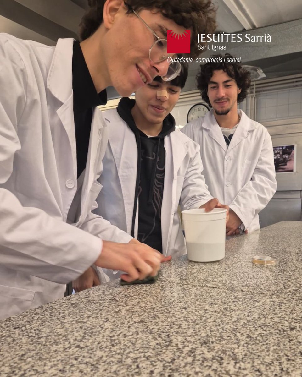 jesuitesFP's tweet photo. Els alumnes de 1r de Dietètica posen a prova els seus coneixements d'Higiene Alimentària al laboratori i cuina. Han analitzat superfícies per comprovar l'eficàcia de la neteja contra microorganismes. 💡 #SomTalentFP #FP https://t.co/eCM4y6biB0