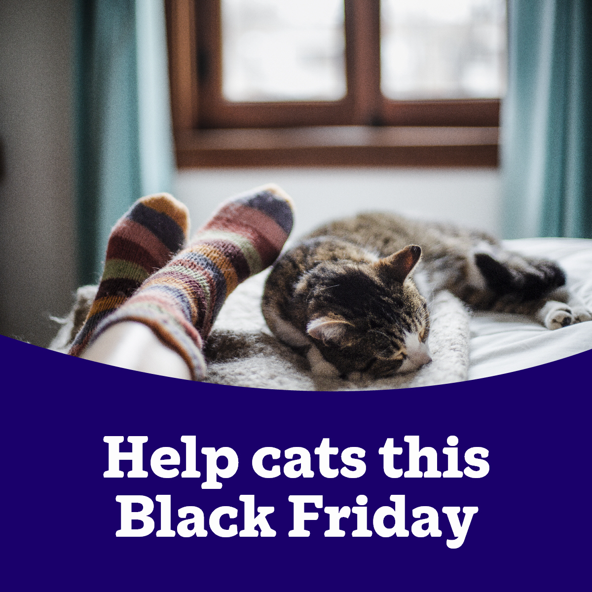 CatsProtection's tweet image. Get 20% off on our eBay store this Black Friday! Shopping pre-loved and helping cats is a win-win!  
Shop now: spr.ly/eBayBlackFriday 🐾 
Ends 2 December.