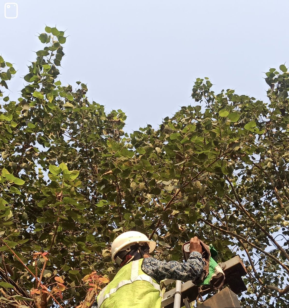 BSCL_BBSR's tweet image. Our Cameras and CCTV systems are diligently operated to ensure safety and smart surveillance. Your security is our priority.

#SmartSurveillance #CitySafety #CCTVMonitoring