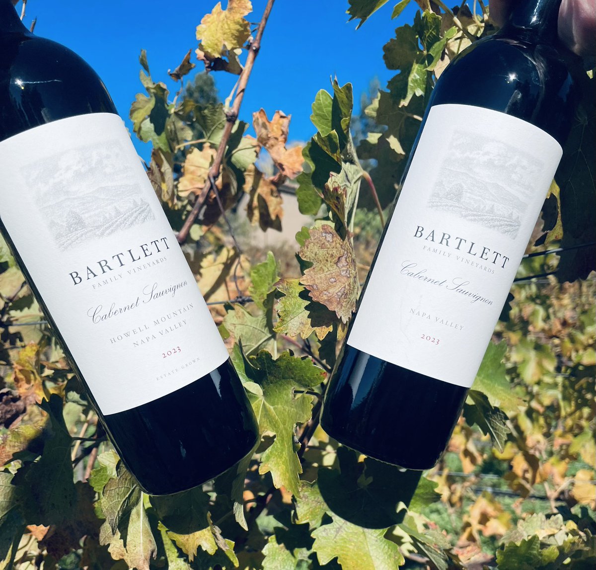 Happy Thanksgiving from the vineyard. #HowellMountain