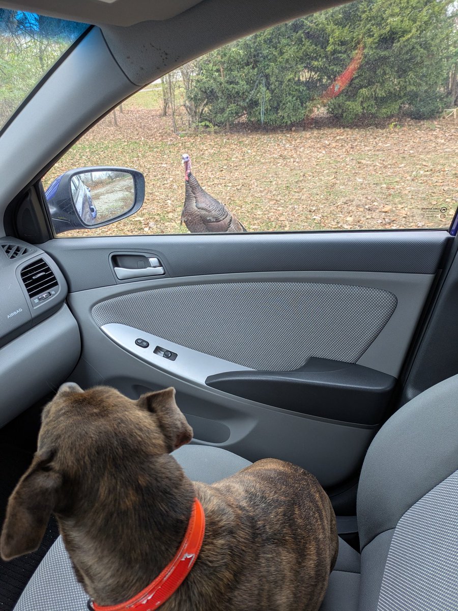 They are watching. Always watching...