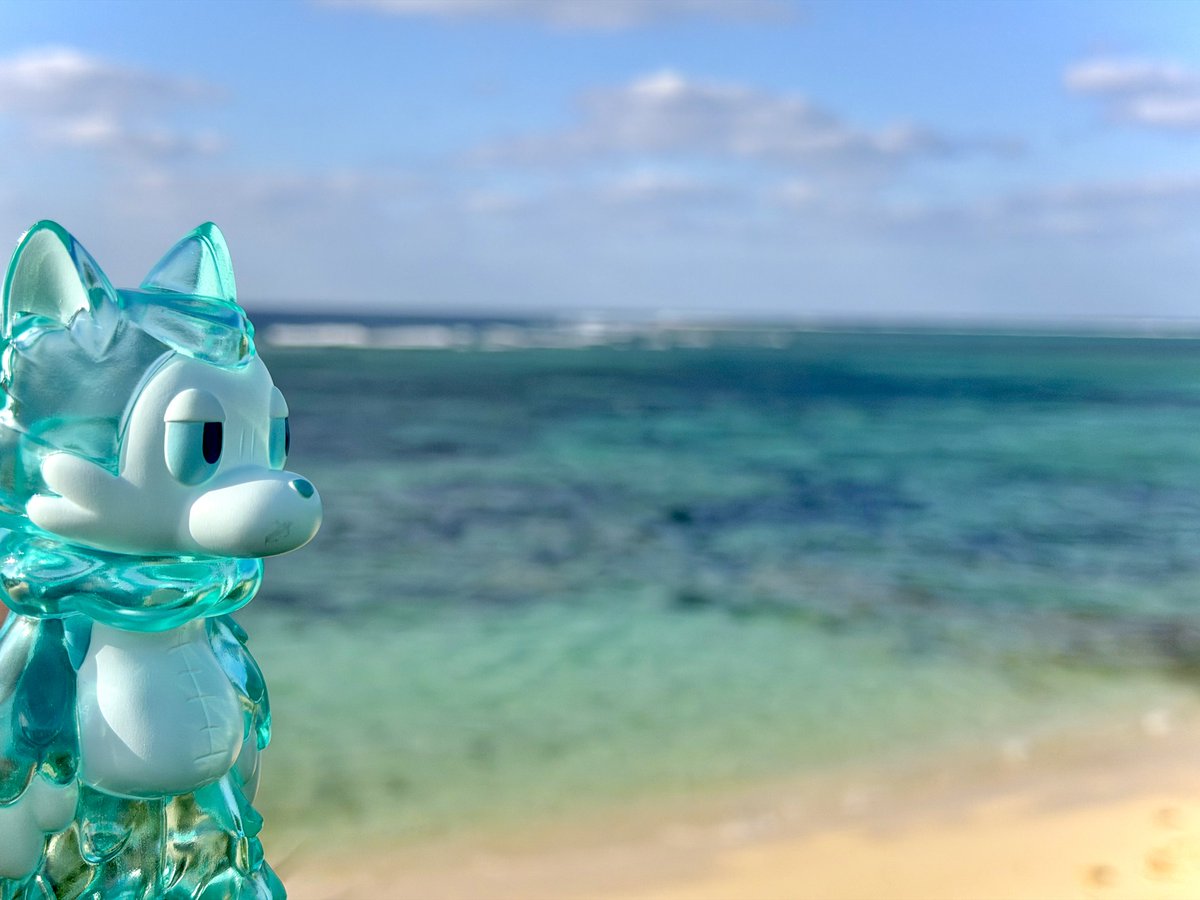 Gulden_Draak's tweet image. 美ら海で海を眺める。
大志を抱く。
砂浜カフェでまったり。
新たな炭酸仲間を見つめる。

#おおかみくん 
#あらいきりこ