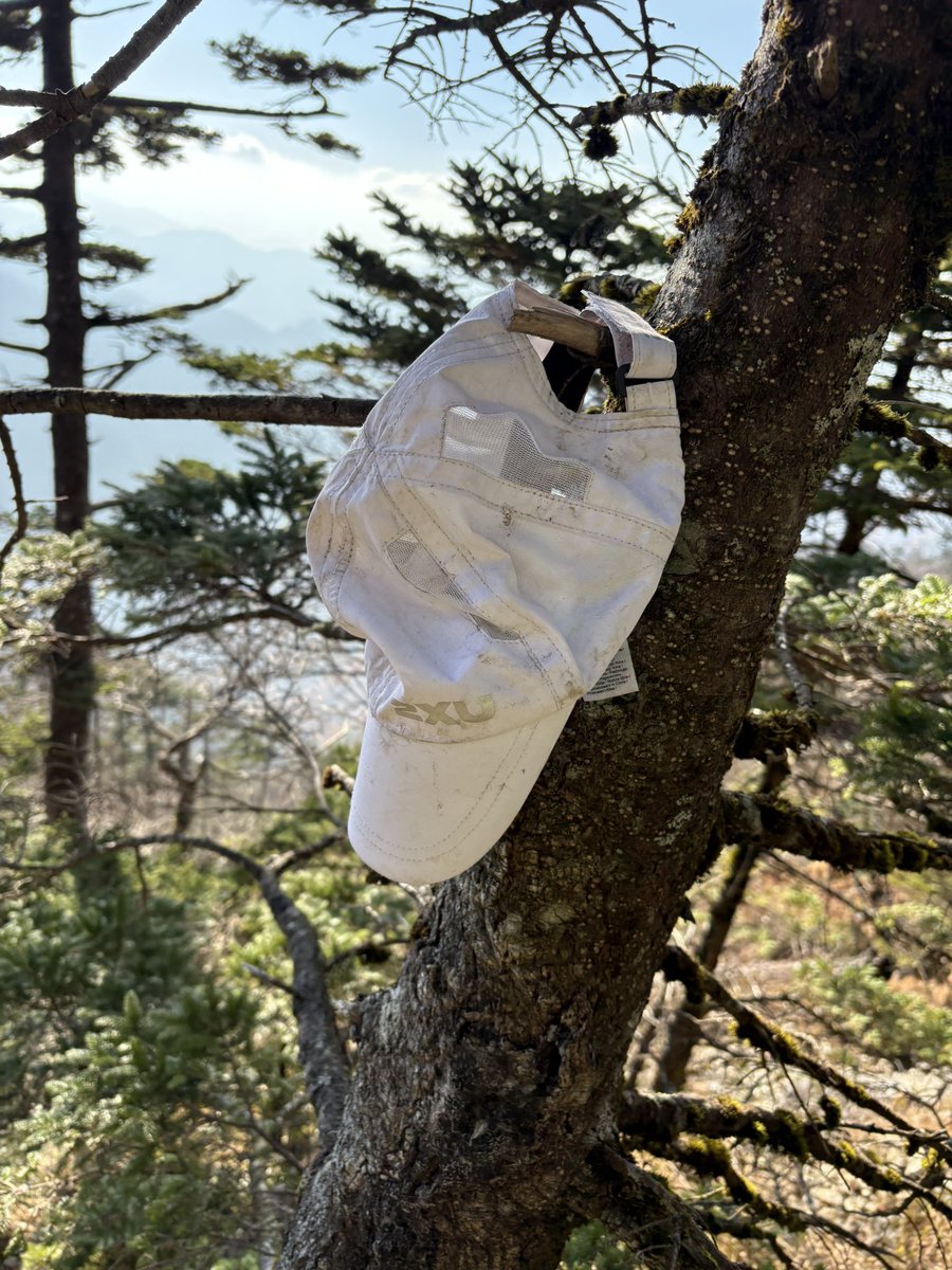 isuke_outdoor's tweet photo. 【善意（ぜんい）の早贄（はやにえ）】
木などに引っ掛けられた落とし物のこと。（らしい） https://t.co/tZ3U1FojHD