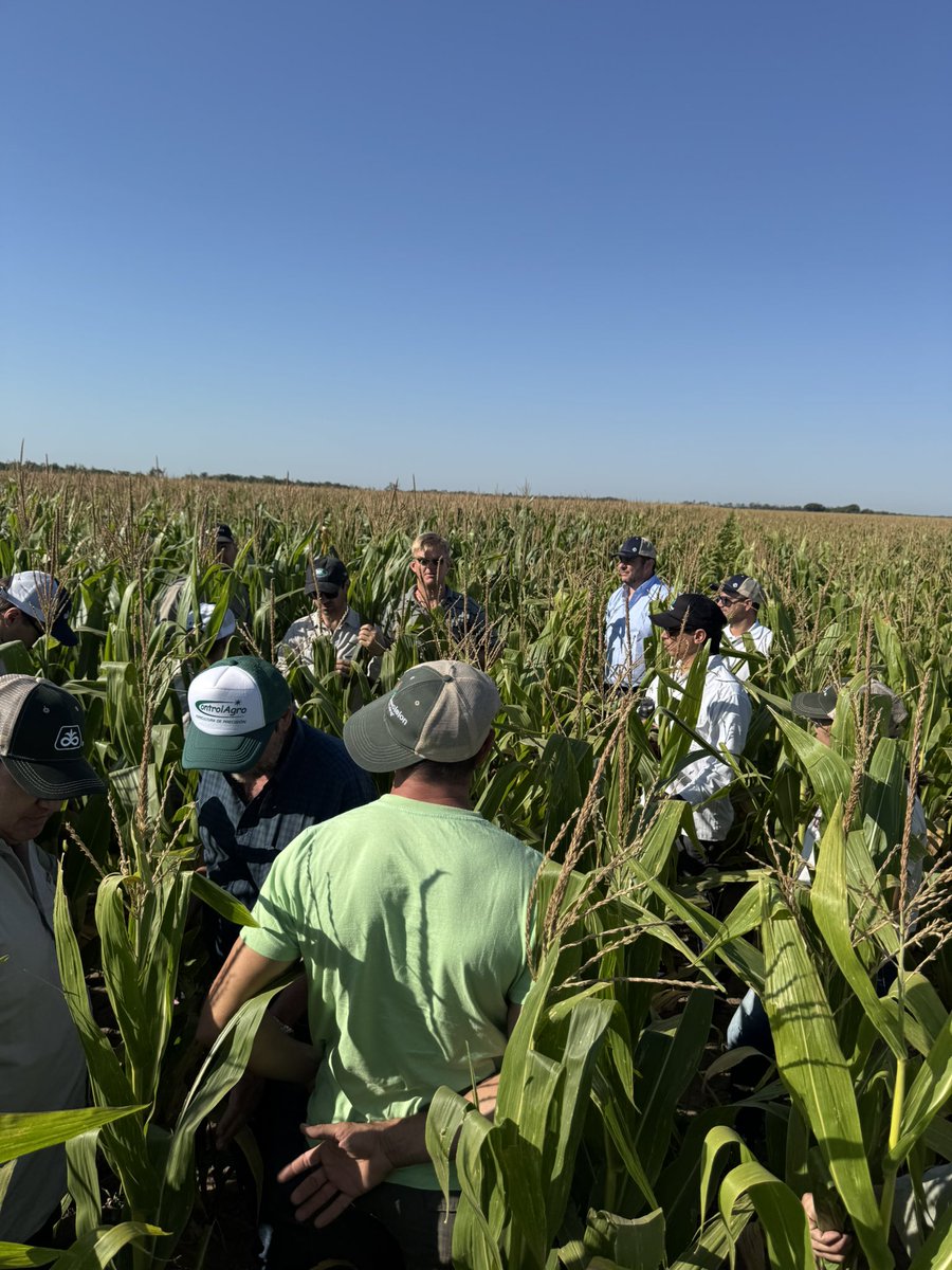 Grupo Charata tweet media