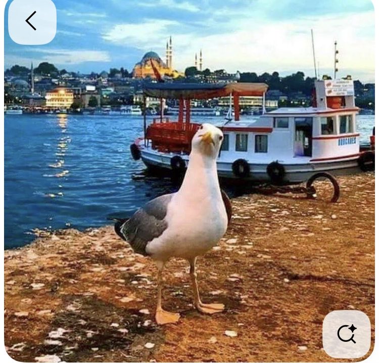 benberna75's tweet image. #FenerinMaçıVar #BIST1OO  #Persembe  #iyiaksamlar