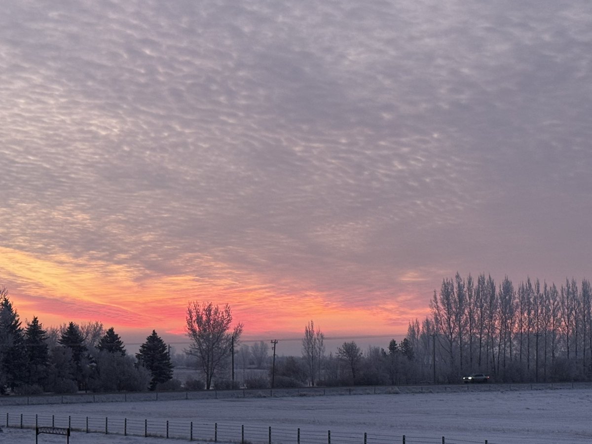 Happy thanksgiving to all who celebrate 🎉. If you’re truly thankful you’ll eat beef and let the turkey 🦃 loose.