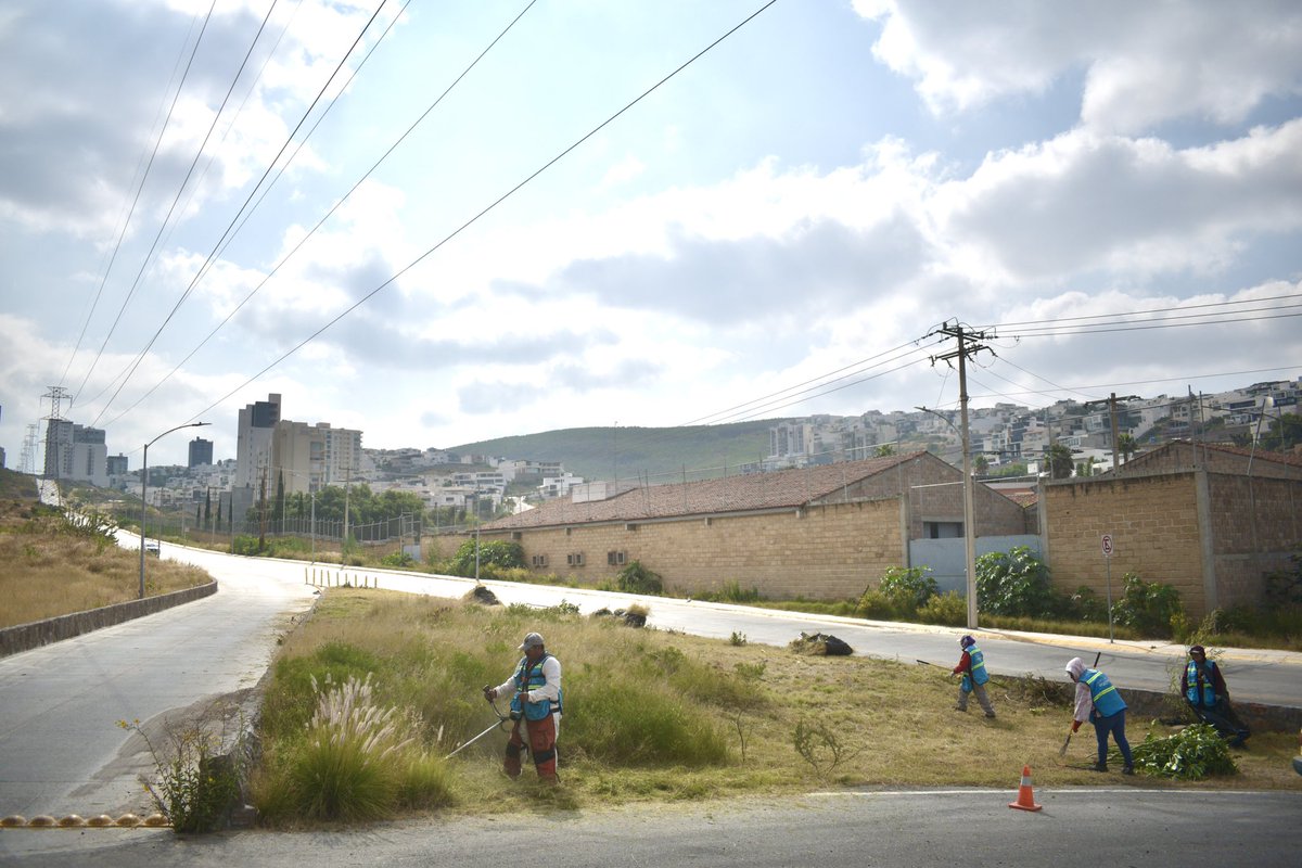 Continuamos con los trabajos de limpieza en la Av. Sierra Vista, realizando deshierbe, recolección de basura y retiro de excedentes para mantener la zona en óptimas condiciones.

¡Nuestro compromiso es seguir mejorando los espacios públicos de #SanLuisCapital para todas y todos!
