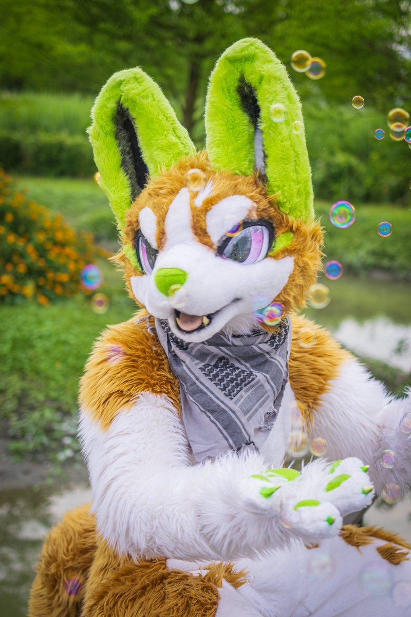 mit72129406's tweet photo. 🫧🫧🫧🫧🫧🫧🫧
#FursuitFriday 
#fursuitfriday https://t.co/AEzqg5Lq09
