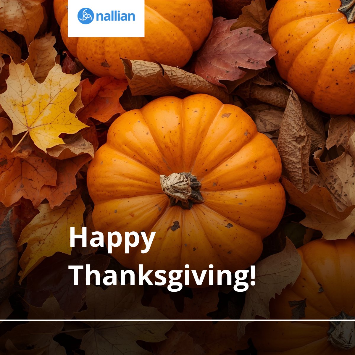 To all our customers, partners, and friends across the United States: Happy Thanksgiving! We are grateful for your continued support, collaboration, and the shared drive to keep cargo moving smarter and more efficiently. Wishing you a joyful holiday with your loved ones.