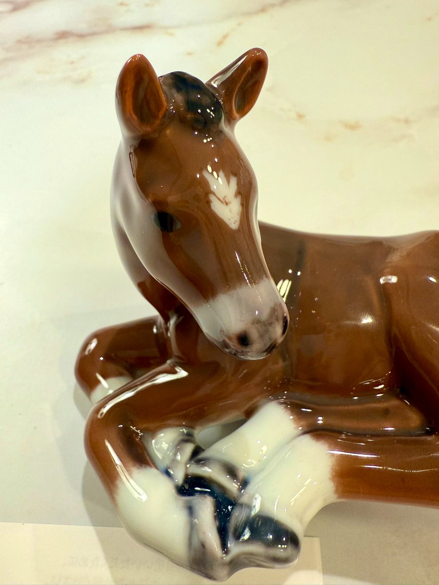 威風堂々とした姿ではなく 長い脚を折り曲げて座っている姿に一目惚れ