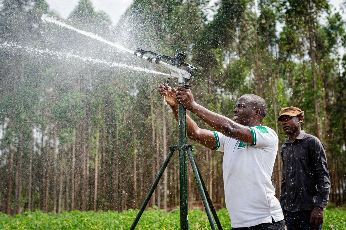 You need irrigation? Then AgriShare App is here for you. 

You can hire. You can buy. Talk with us too via whatsapp 0200 280 000!