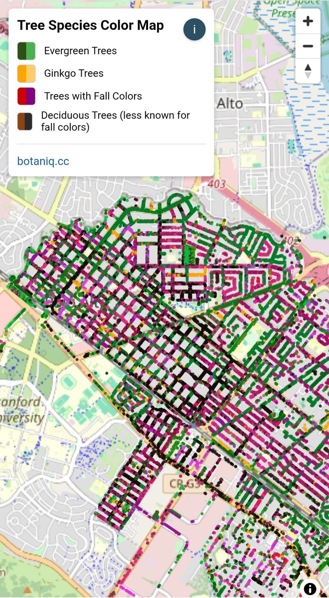 cxcxcxcx's tweet image. Looking for fall colors in the bay area? I got AI to parse tree species in city tree databases, find them in residential areas treecolors.botaniq.cc #fallcolors #SanJoseCA #Berkeley  #SanFrancisco