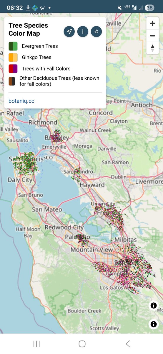 cxcxcxcx's tweet image. Looking for fall colors in the bay area? I got AI to parse tree species in city tree databases, find them in residential areas treecolors.botaniq.cc #fallcolors #SanJoseCA #Berkeley  #SanFrancisco