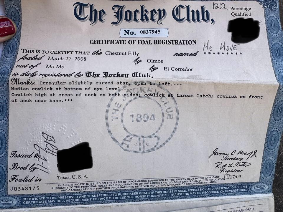 🆘‼🆘‼👉Update! We have raised $630 for Mo Move so far.  We still need to raise $1820  to reach goal. Please consider a donation to help us help her. Our PayPal donation link is 
paypal.com/donate/?hosted…
Thank you.