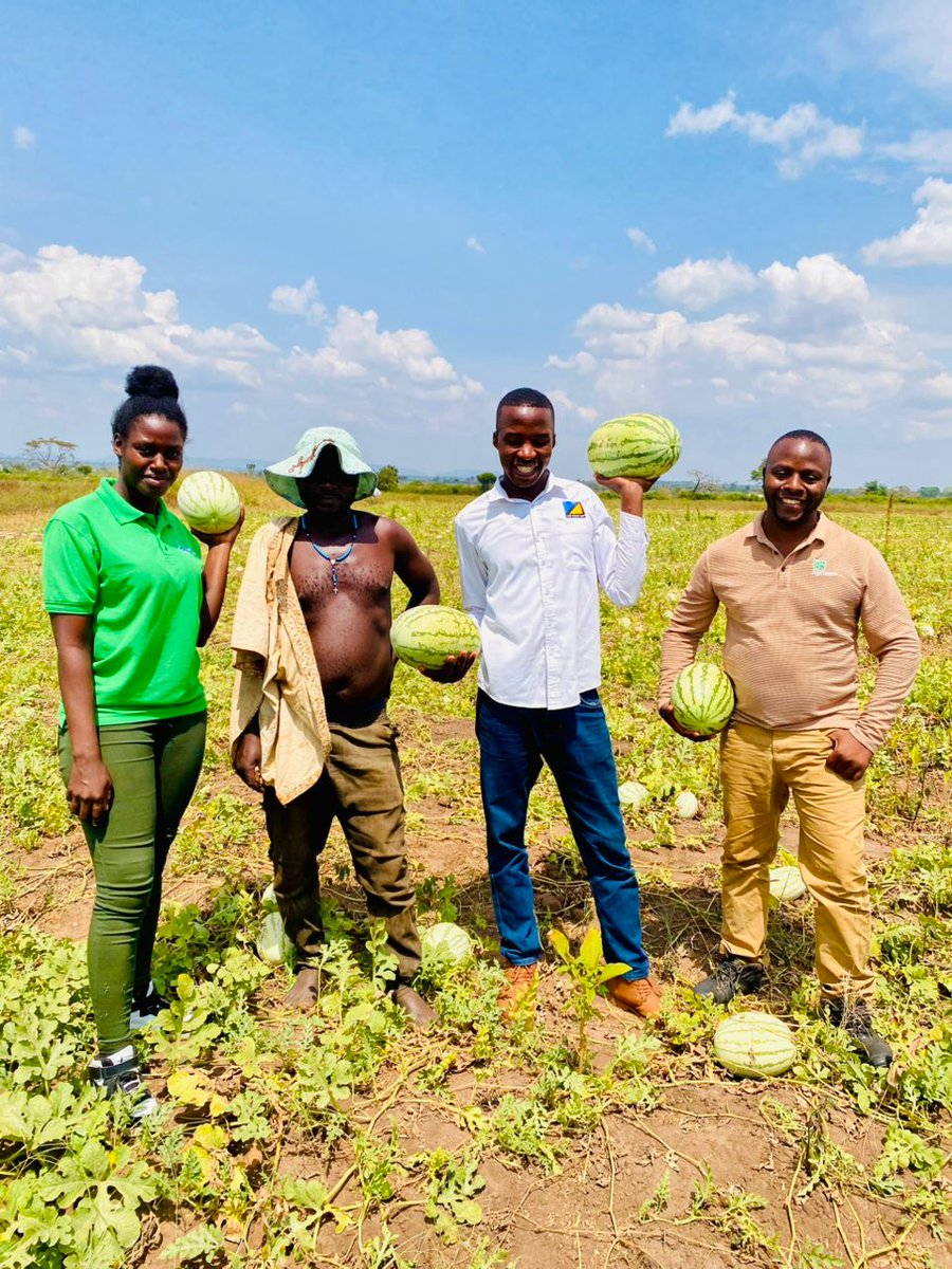 Planting? Growing? Harvesting?
We’re here for you every step of the way. Talk to us—AgriShare is with you all the way.