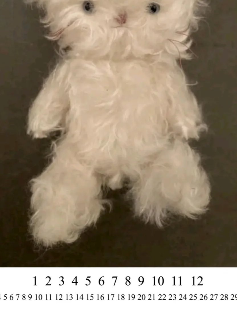 heidi._nuigurumi (@HNuigurumi) / Posts / X