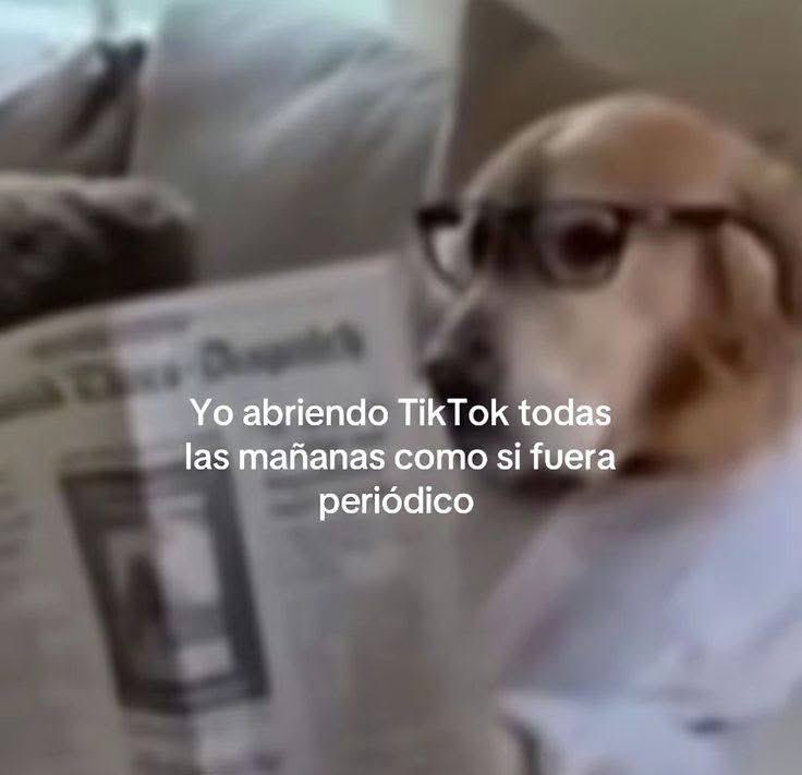 Salvador Iglesias Jr (@javisness) on Twitter photo 