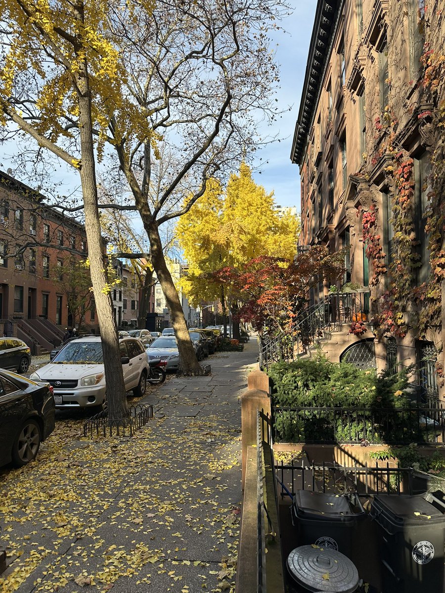 Nothing like Brooklyn on turkey day