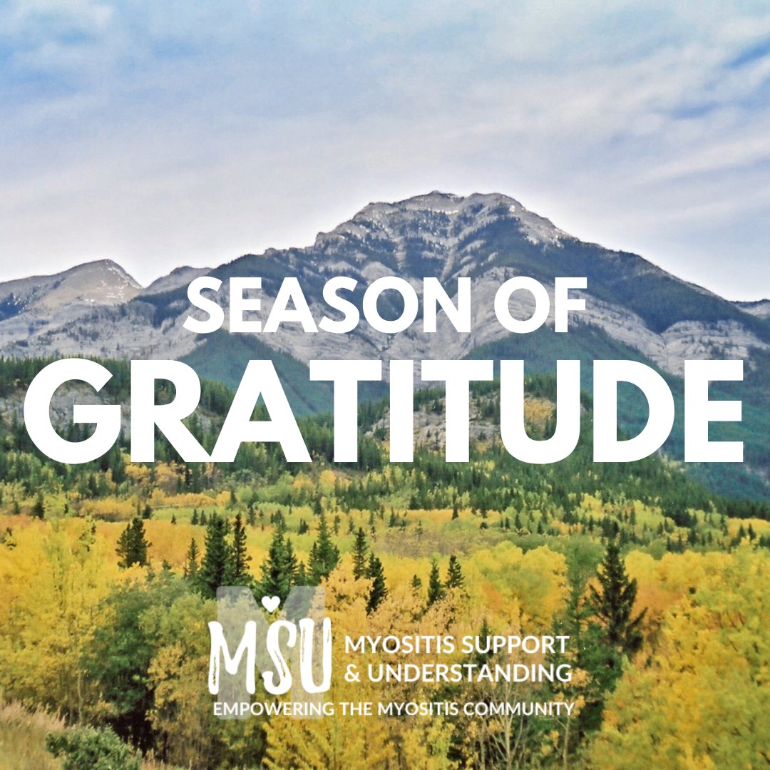 MyositisSupport's tweet image. As we embrace this season, we reflect on the strength, resilience, and support that define our community. Grateful for every story shared, every step forward, and the power of solidarity that connects us all. #SeasonOfGratitude #MyositisUnderstanding #CommunityOfHope&quot;