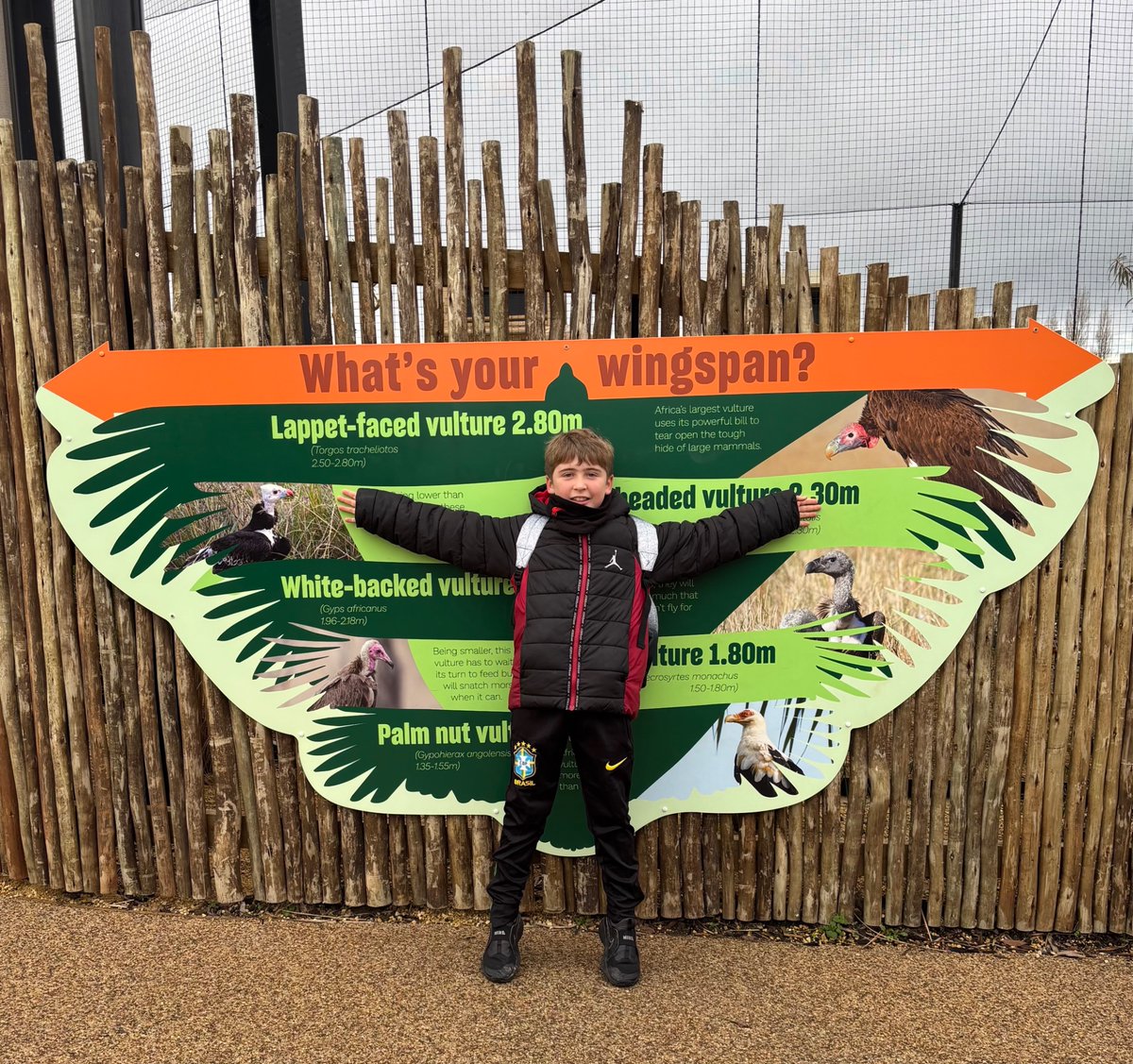 St Nicholas tweet media