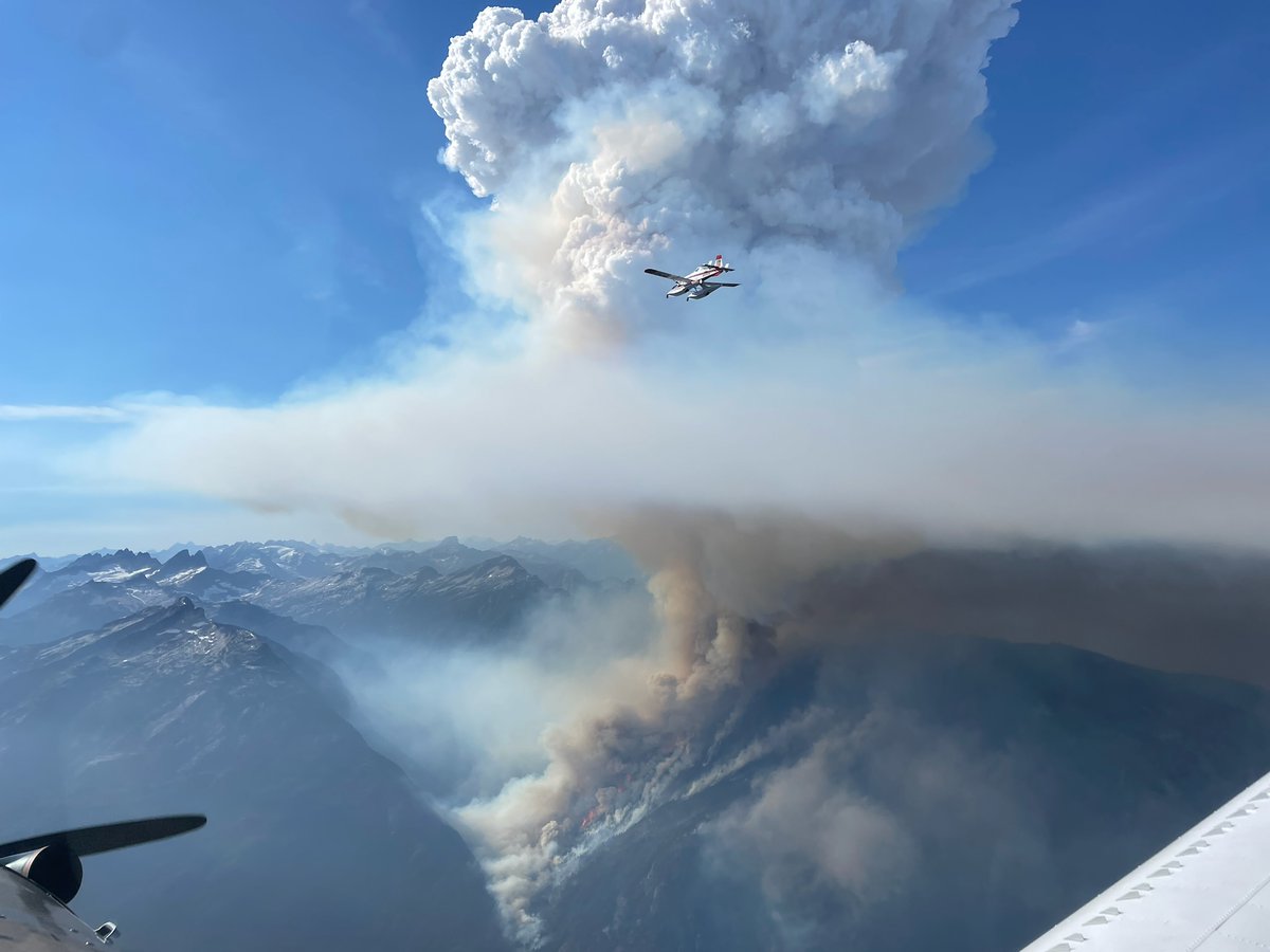 Dauntless Air tweet media