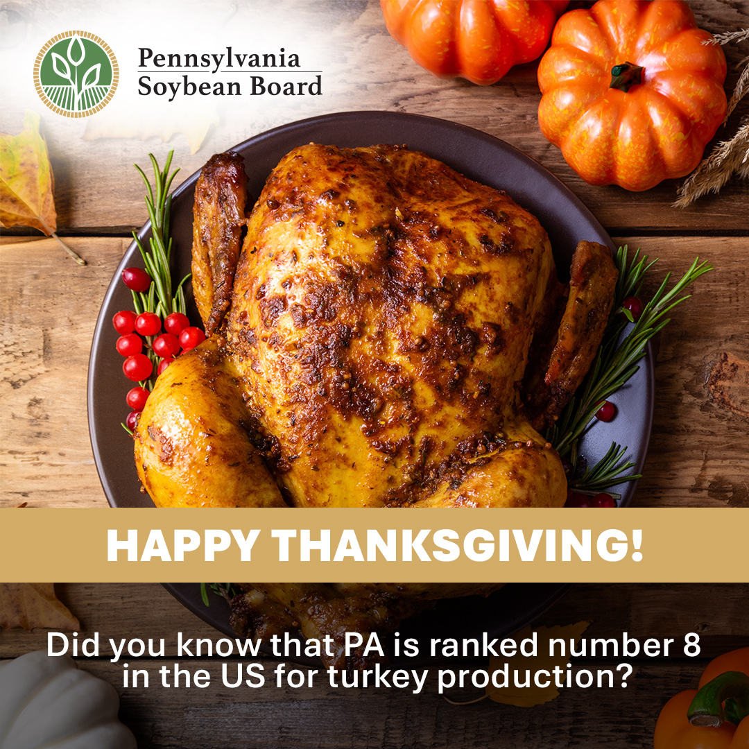 Happy Thanksgiving from the Pennsylvania Soybean Board!

Wishing you a holiday filled with good food, quality time and gratitude for the farmers who make it all possible.