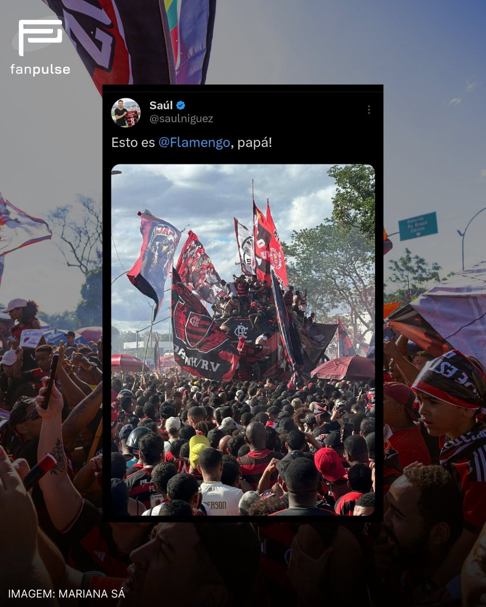 ✈️ | Despedida da torcida

Nesta quarta-feira (26) o Flamengo, nos braços da sua torcida, embarcou para Lima, no Peru, onde disputa a grande final da Conmebol Libertadores de 2025 contra o Palmeiras.

Os rubro-negros lotaram o entorno do Aeroporto do Galeão, onde fizeram o famoso
