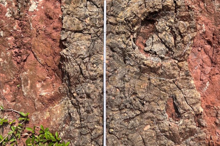 EarthArchivesHQ's tweet image. A team of international scientists from China, Germany and the United States has identified an important assemblage of dinosaur footprints in Wucha village, Renhuai city, Southwest China&apos;s Guizhou province.

chinadaily.com.cn/a/202511/25/WS…

#fossils #paleontology