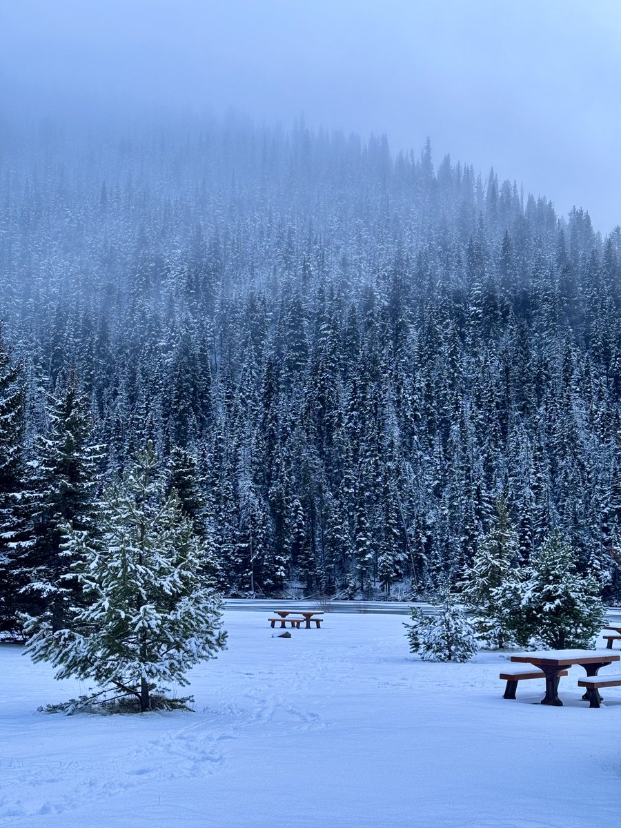 Manning Park Resort tweet media